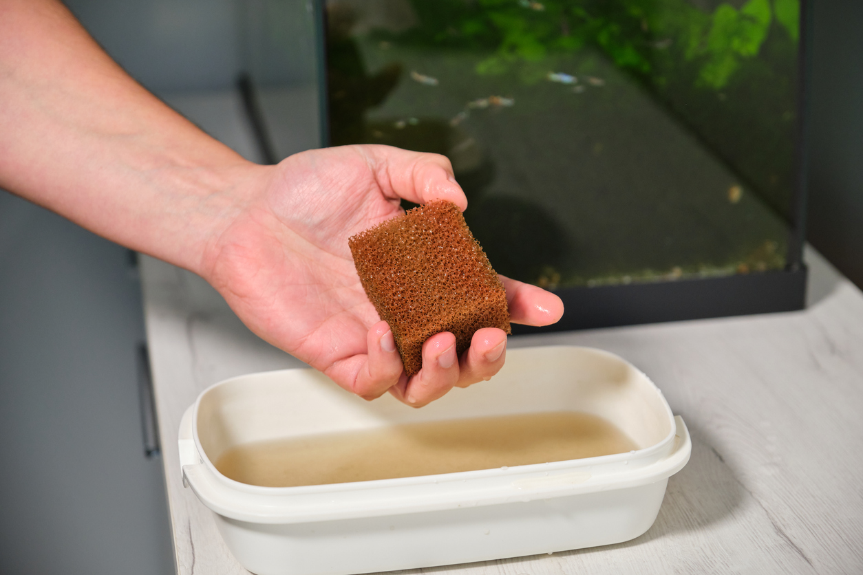 Akvárium tisztítása